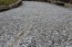 Silver granite paving path